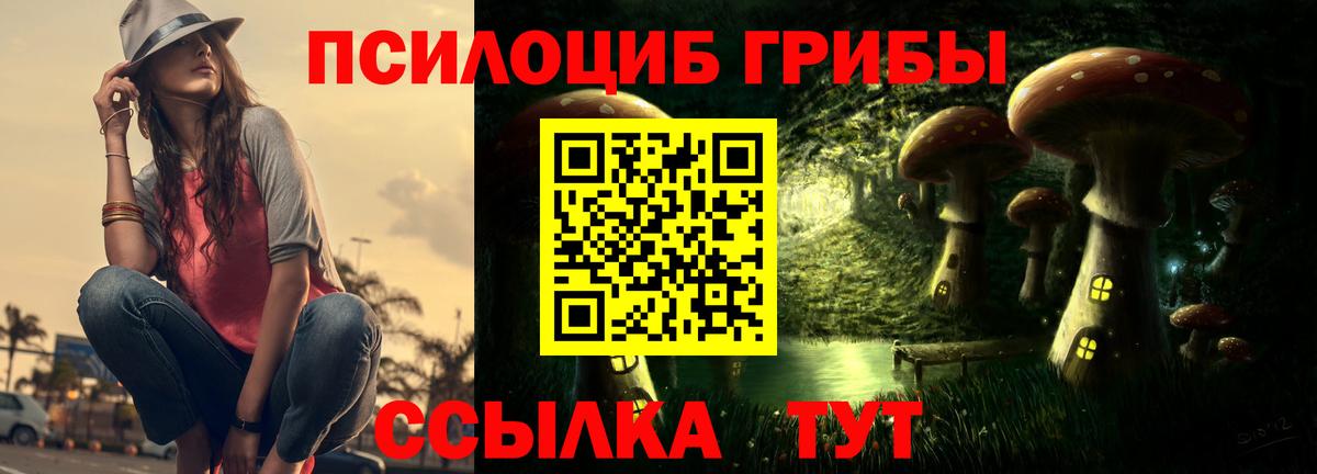 Ялуторовск  Галлюциногенные грибы Cubensis  Псилоцибиновые грибы мицелий  купить наркоту  Вход с VPN 